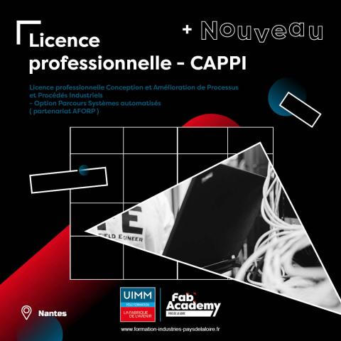 Licence Pro CAPPI